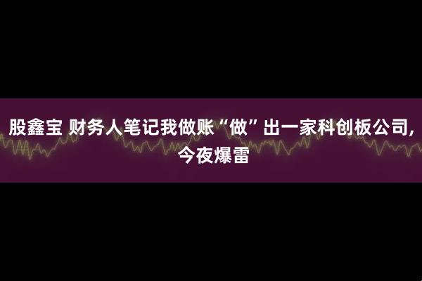 股鑫宝 财务人笔记我做账“做”出一家科创板公司, 今夜爆雷